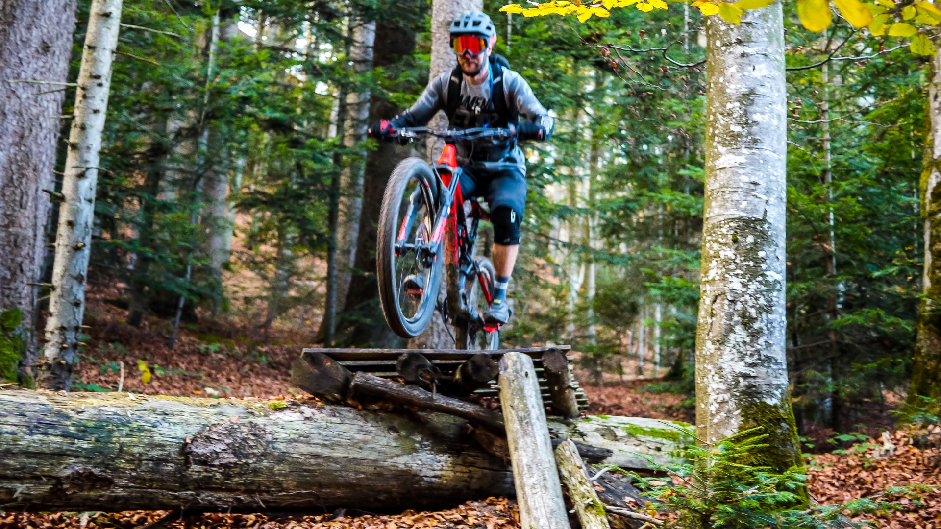 Red Leaves Day, journée de clôture 2017 Red Leaves Day, journée de clôture 2017